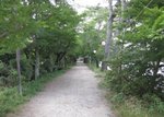 IMG_2167