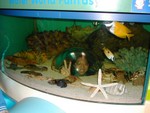 DSCN1588