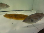 DSC01311
