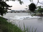 DSC01573