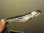 DSC01983