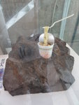 DSC02198