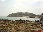 DSC00250