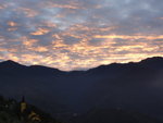 DSC03533