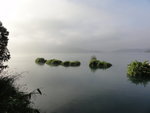 DSC03790