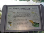 DSC03793
