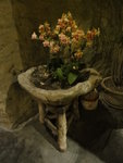 DSC03899