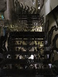 DSC03902