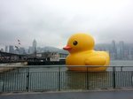 20130506_160516
