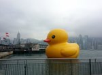 20130506_160623