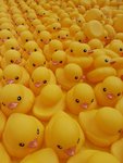 20130506_171928
