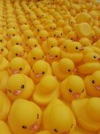 20130506_171931