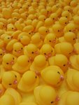 20130506_171938