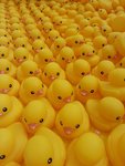20130506_171947