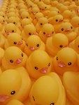 20130506_172022