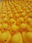20130506_172033