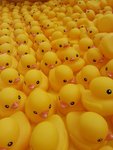 20130506_172035