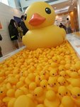 20130506_172238