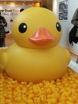 20130506_172525