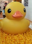20130506_172541