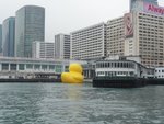 DSC02214