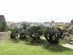 DSC06305