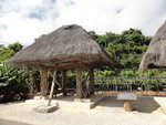 DSC06386