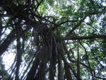 一家行山頂至薄扶林 11