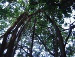 一家行山頂至薄扶林 12