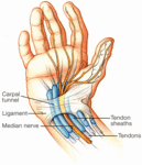 Animation - Carpal tunnel