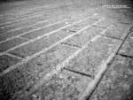 DSC02345a
