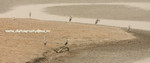 CRW_0439a