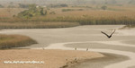 CRW_0448a