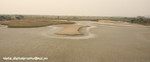 CRW_0453a