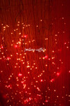 CRW_9985a