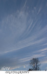 CRW_9770a