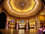 DSCN4010