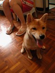 DSCN3552