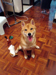 DSC03049