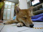 DSCN3687