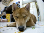 DSCN3693