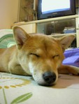 DSCN3697