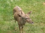IMG_3510
