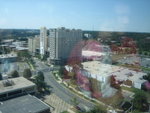 THZ_0283