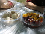 THZ_0898
