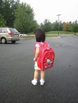 THZ_2011