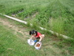 THZ_2868