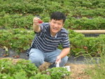 THZ_2872