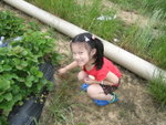 THZ_2873