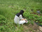 THZ_2875